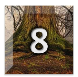 element aarde getal 8